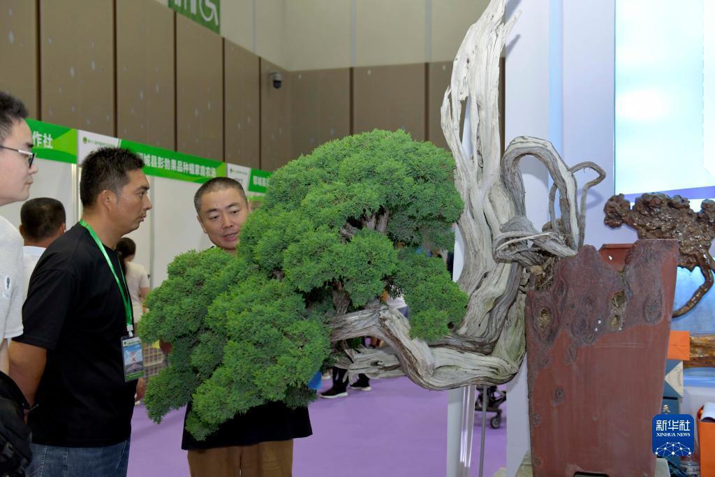 大西洋游戏水果机